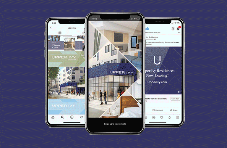 Brand identity, website, and digital marketing strategy